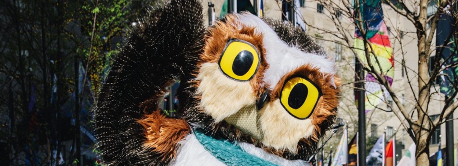 Roxy's 2025 Gift Guide